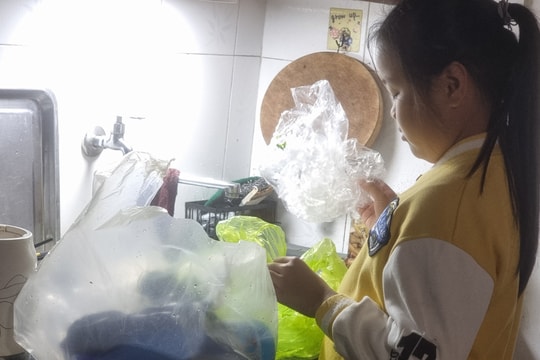 Thừa Thiên Huế đang tìm mọi cách để loại bỏ rác thải nhựa