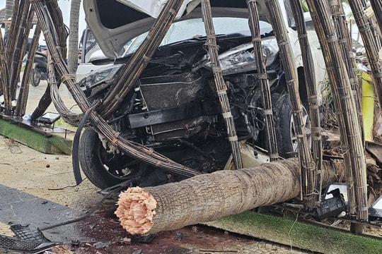 Hiện trường vụ xe ô tô nổ lốp, lao lên vỉa hè đâm gãy cây dừa trên con đường ven biển Đà Nẵng