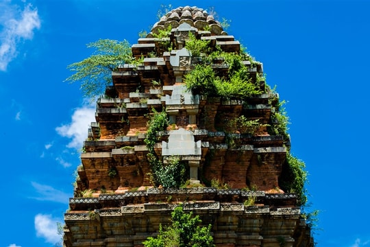 Bình Định chi hơn 93 tỉ đồng tu bổ, tôn tạo tháp Dương Long