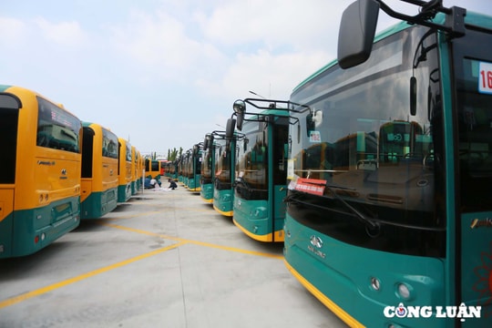 Giao diện độc đáo của 17 tuyến buýt điện kết nối metro số 1 TP HCM