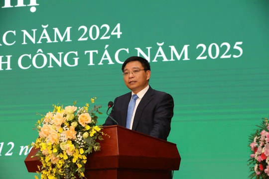 Quy mô cả 3 sàn HOSE, HNX và UPCoM tăng mạnh trong năm 2024