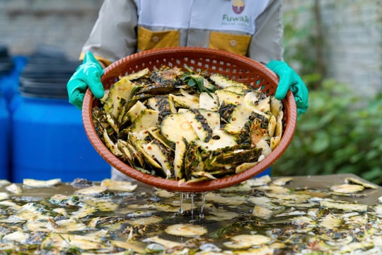 Sản phẩm tẩy rửa từ vỏ dứa FUWA3E nhận giải thưởng Vì Cộng đồng năm 2024