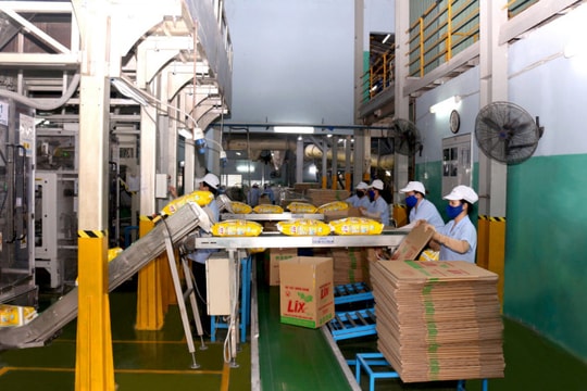 Lợi nhuận đi ngang, Bột giặt LIX trả cổ tức thấp hơn các năm trước