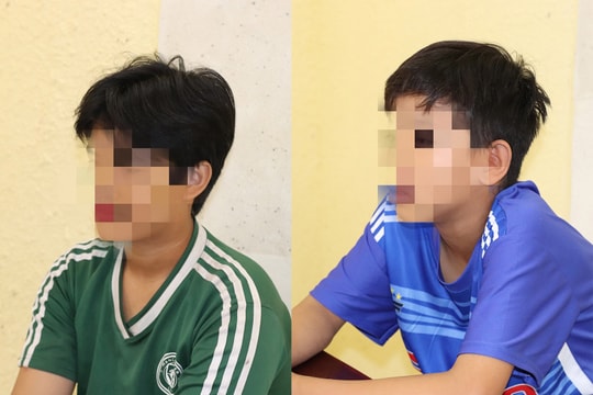 Hai thiếu niên 13 tuổi sát hại cụ bà để cướp tiền chơi game