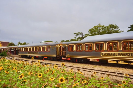 Đưa đoàn tàu La Reine tuyến Đà Lạt - Trại Mát vào hoạt động