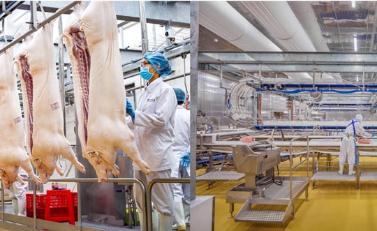 Yếu tố tạo đà cho lợi nhuận của Masan MEATLife trong cuối năm 2024