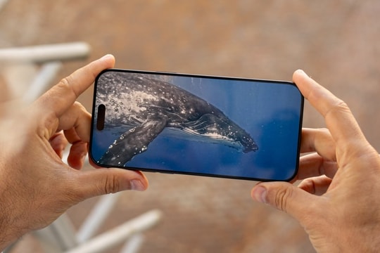 Apple vẫn mơ về iPhone không viền