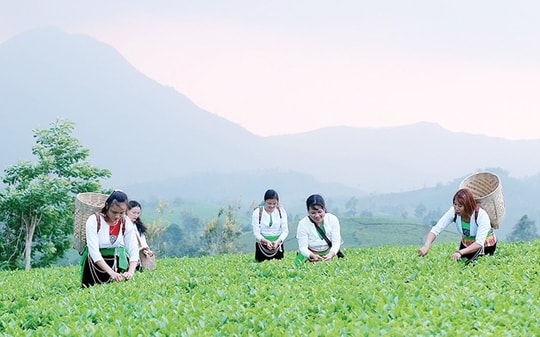 Đánh thức tiềm năng OCOP: "Đặc sản" hút khách du lịch đến vùng DTTS Phú Thọ