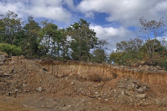 Gia Lai: Thông tin mới vụ san ủi đất của Ban quản lý rừng phòng hộ