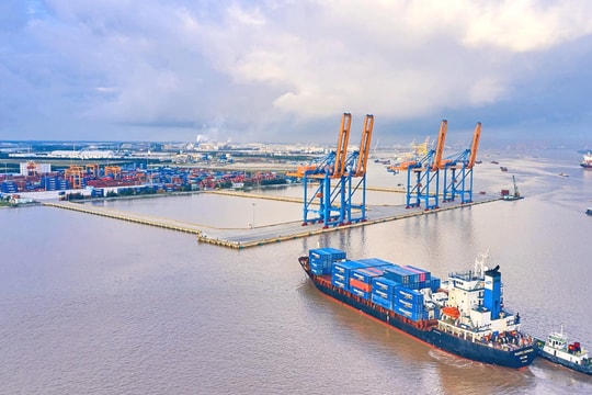 Đội tàu biển Việt Nam vận chuyển khoảng 140,9 triệu tấn hàng hóa