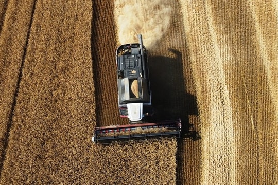 Xuất khẩu thực phẩm của Nga sang Ấn Độ tăng hơn 100%