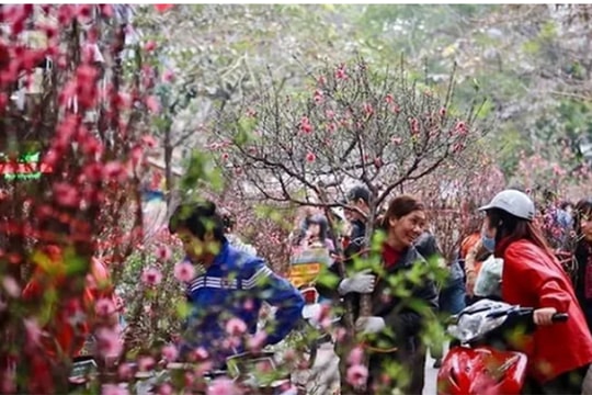 Tăng cường quản lý, tổ chức các hoạt động văn hóa, thể thao, du lịch dịp Tết Nguyên đán Ất Tỵ 2025