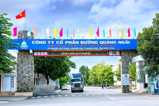 Lợi nhuận tăng trưởng, Đường Quảng Ngãi (QNS) vẫn trả cổ tức thấp hơn năm 2023