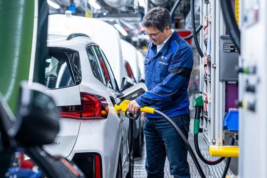 BMW sử dụng dầu thực vật cho các mẫu xe diesel mới