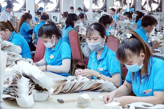 TPHCM: 32.470 vị trí việc làm trống cần tuyển dụng cuối năm 2024