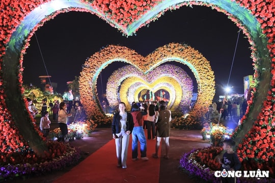 Festival hoa Mê Linh sẽ kéo dài đến hết Tết Dương lịch