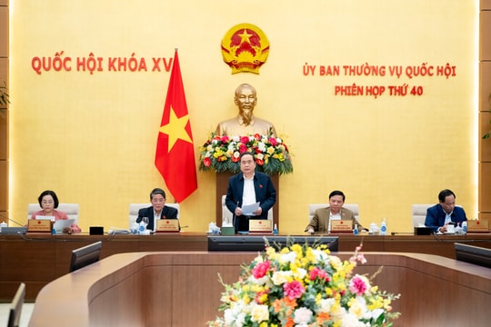 Nghị quyết về bổ sung có mục tiêu từ ngân sách Trung ương năm 2024 cho các địa phương