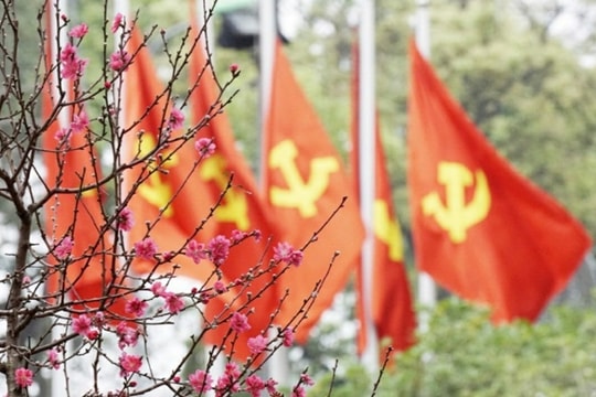 Ninh Bình: Tổ chức Tết Nguyên đán 2025 phù hợp với điều kiện, bảo đảm an toàn, tiết kiệm