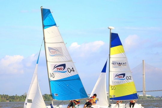 Cần Thơ lần đầu tổ chức đua thuyền buồm trên sông Hậu