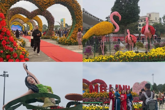 Festival hoa Mê Linh - Bản hòa ca của sắc màu