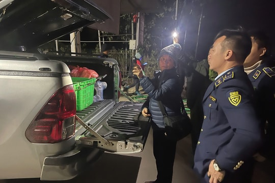 Hưng Yên: Xử phạt 2 đối tượng chở 170kg thịt bò bốc mùi hôi thối đang trên đường tiêu thụ