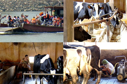 Đổi thay cuộc sống xã đảo duy nhất của Thủ đô