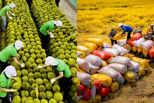 Năm 2024 xuất khẩu sầu riêng, gạo bứt phá