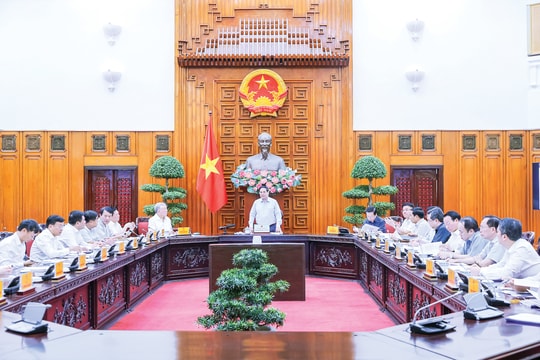 Kỳ tích từ sự quyết tâm