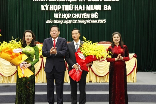 Ông Nguyễn Việt Oanh làm Chủ tịch UBND tỉnh Bắc Giang