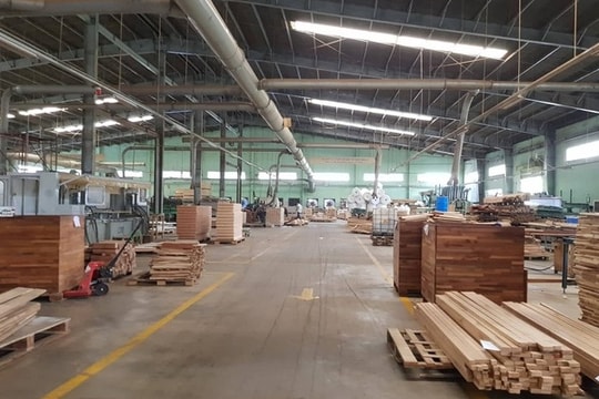 Lỗ lũy kế vượt 3.200 tỷ đồng, Gỗ Trường Thành (TTF) phải bán 2 công ty con