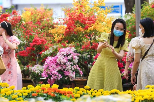 Chi tiết 70 điểm chợ bán hoa Tết Ất Tỵ của Hà Nội