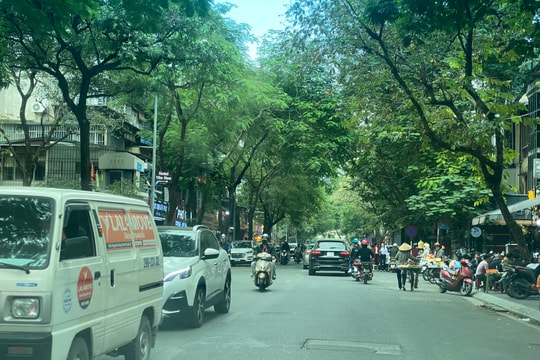 Dự báo thời tiết ngày 4/1: TP HCM có mưa trái mùa, sáng sớm trời se lạnh