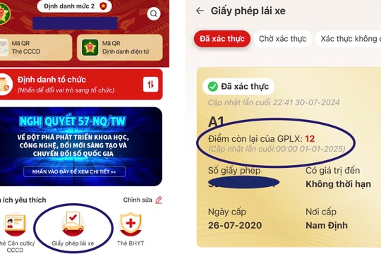 Hướng dẫn kiểm tra điểm của giấy phép lái xe trên điện thoại