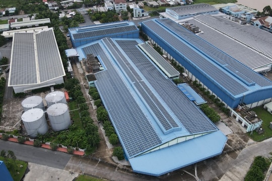 Tập đoàn Sao Mai (ASM) chậm kế hoạch năm, bị phạt và truy thu thuế 3,6 tỷ đồng