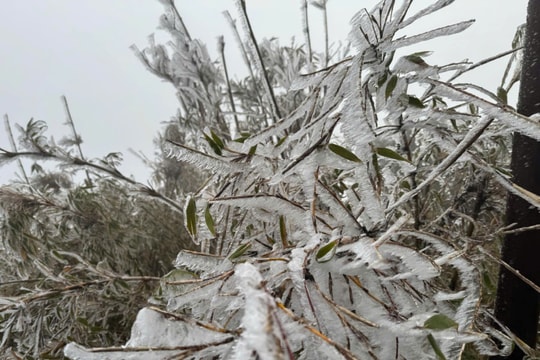 Lạnh dưới âm 3 độ C, băng tuyết phủ trắng núi Fan Si Pan Sa Pa