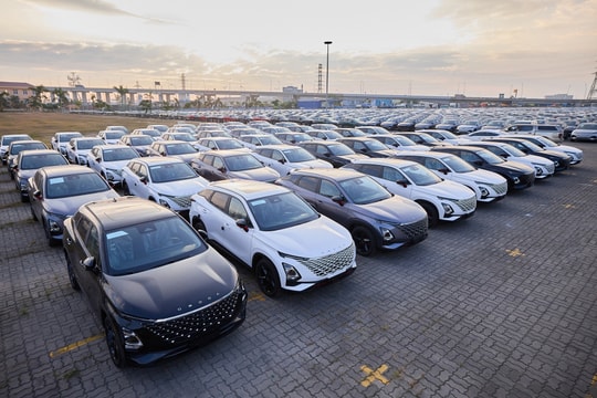 Việt Nam tiêu tốn hơn 3,6 tỷ USD để nhập khẩu ô tô trong năm 2024