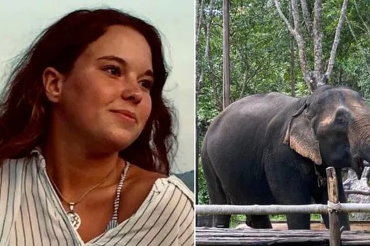 Du khách tắm cho voi bị tấn công tử vong ở Thái Lan