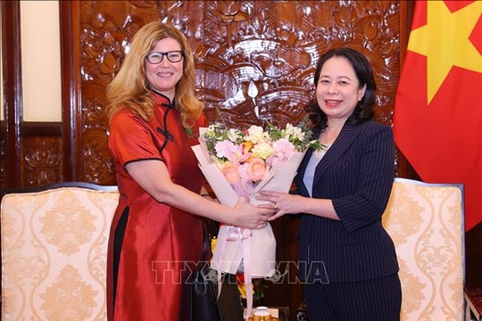 Phó Chủ tịch nước Võ Thị Ánh Xuân tiếp Trưởng đại diện UNICEF tại Việt Nam