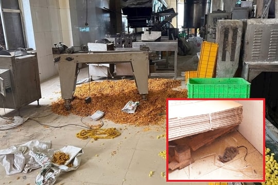 Rùng mình xưởng bim bim tại Hà Nội, xác chuột chết bốc mùi trong khu sản xuất