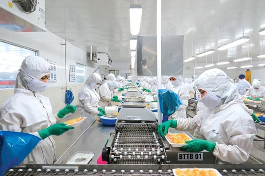 Gánh nặng chi phí tăng gấp 2,5 lần, Thực phẩm Sao Ta (FMC) chậm kế hoạch năm