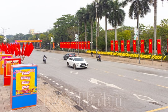 Hà Nam tổ chức nhiều hoạt động mừng Đảng, mừng Xuân Ất Tỵ 2025
