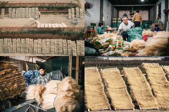 Miến dong làng So nhộn nhịp vụ Tết