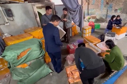 Thu giữ hơn hai tấn thực phẩm đông lạnh không giấy tờ