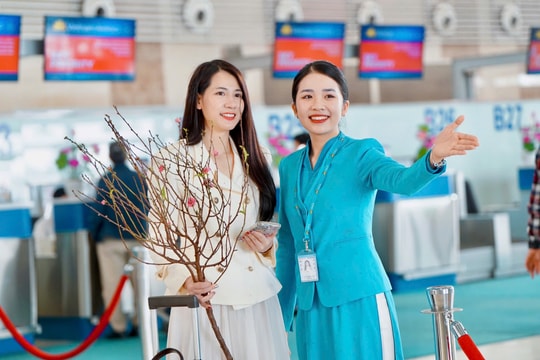Vietnam Airlines vận chuyển mai đào Tết Nguyên Đán Ất Tỵ 2025