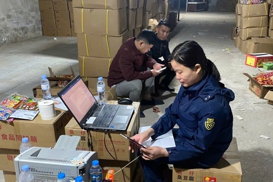 Phát hiện trên 13 tấn thực phẩm bán cho trẻ em không rõ nguồn gốc tại Hà Nội