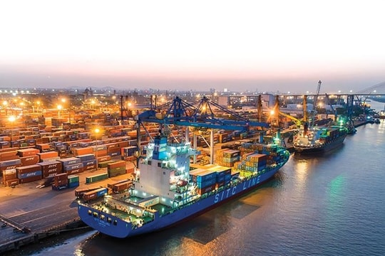 Cảng Đình Vũ (DVP) lợi nhuận đi ngang, dự chi 120 tỷ đồng tiền cổ tức