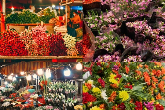 Tấp nập, nhộn nhịp tại chợ hoa đêm lớn nhất Hà Nội ngày cận Tết