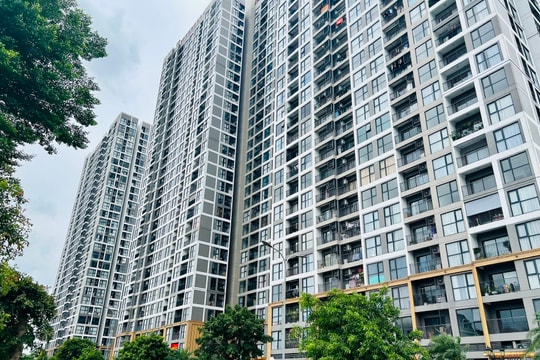 Bất động sản Việt Nam: 'Ông lớn' hưởng lợi, doanh nghiệp nhỏ bị 'bỏ rơi'