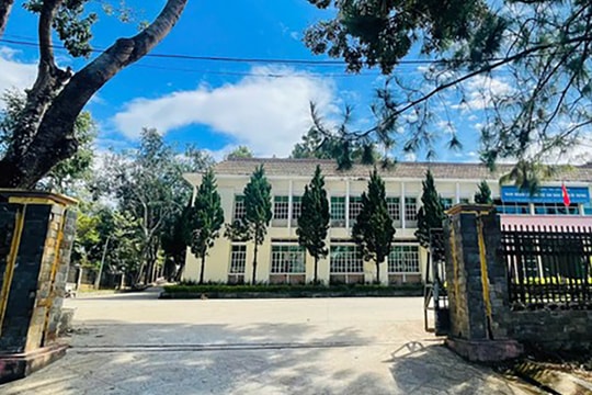 Đắk Nông: Kỷ luật và buộc thôi việc Phó Giám đốc vì có hành vi dùng bằng giả