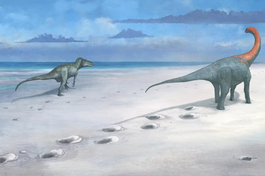 Phát hiện gần 200 dấu chân khủng long trên 'xa lộ' kỷ Jura